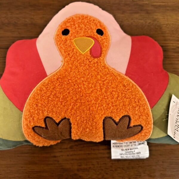 Target Bullseye TURKEY Pillow THANKSGIVING FALL 2024 WHIMSICAL Modern Colors "