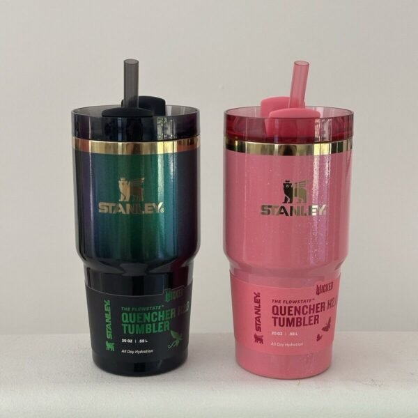 NEW Stanley X Wicked 20 Oz Tumbler Exclusive COMBO Elphaba + Glinda