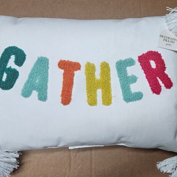 Target Bullseye Playground Fall 2024 Pillows GATHER Pillow NEW "