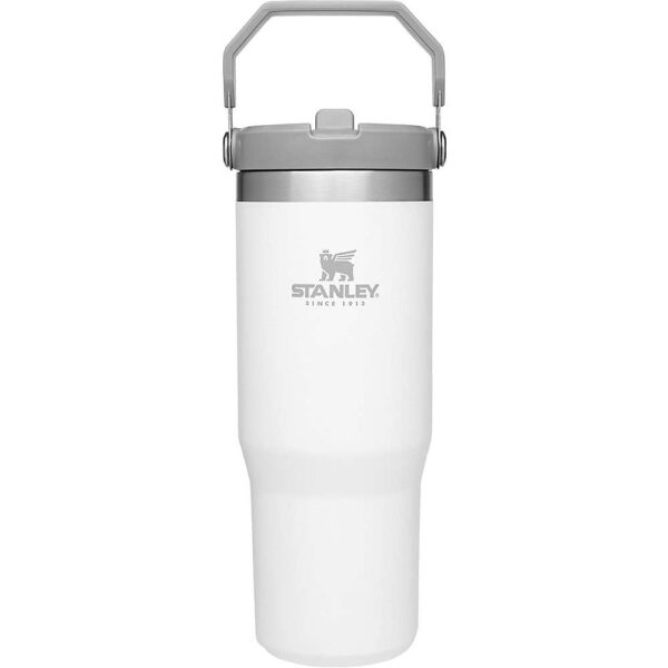 Stanley the IceFlow Flip Straw Tumbler Polar