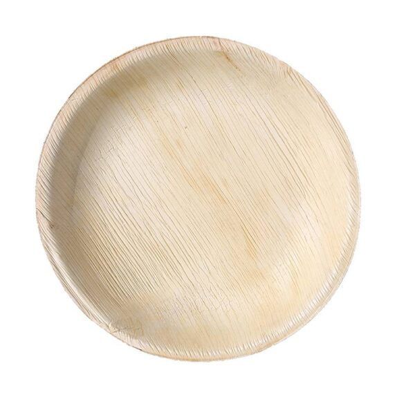 10ct Areca Palm Leaf Dinner Plates - Spritz "