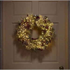 Philips 30-Count Battery-Operated Dewdrop Lights on Silver Wire with Built in Timer "