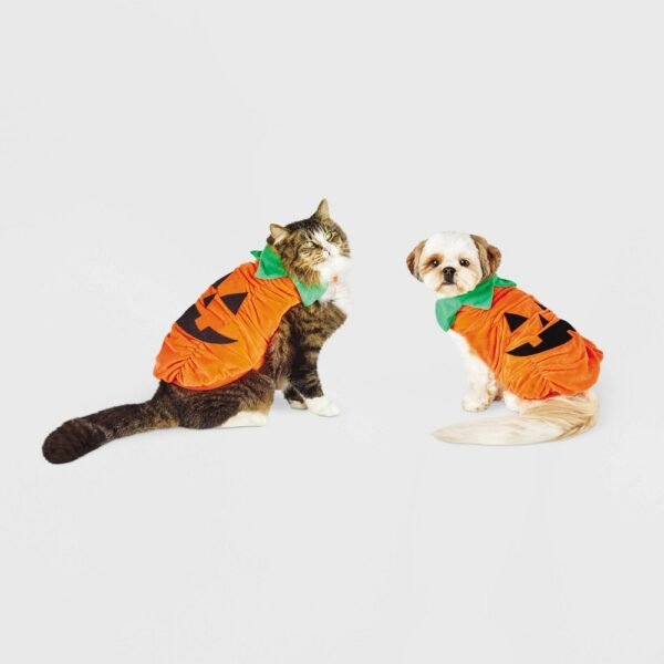 Hyde & EEK! Boutique Plush Pumpkin Dog and Cat Costume - Small