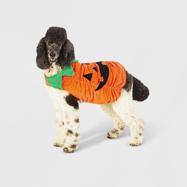 Plush Pumpkin Dog Costume - XL - Hyde & EEK! Boutique?