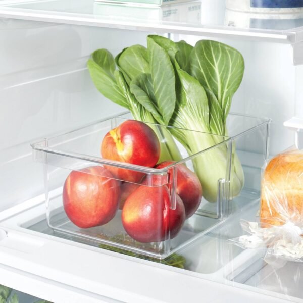 Standard Divided Fridge & Pantry Bin Clear - Brightroom?